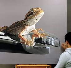 Kim hee won como park byung hee. New Pieces From The Hyperrealistic Artist Young Sung Kim Feel Desain Your Daily Dose Of Creativity