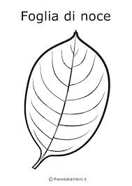 Disegni da colorare di foglie. Disegni Di Frutta E Foglie Autunnali Da Colorare Pianetabambini It