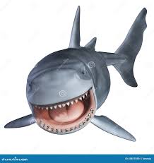 Rekin 3d ilustracji. Ilustracja złożonej z zwłoki, strach - 45813359