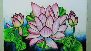 Di indonesia sendiri banyak bunga tersebar diseluruh penjuru tanah air. Cara Menggambar Dan Mewarnai Bunga Teratai Dengan Oil Pastel Youtube