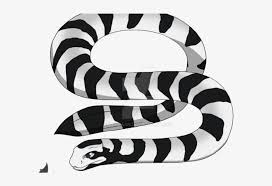 Sea serpent dragon snake drawing legendary creature, sea serpent. Drawn Snake Snake Png Yellow Lipped Sea Krait Drawing Png Image Transparent Png Free Download On Seekpng