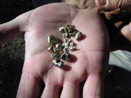 Where To Find Gold In Texas 11 Locations Likely To Hold Gold