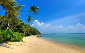 Pulau sibu (sibu island) travel guide: Rimba Resort Pulau Sibu Harga Terbaru 2021