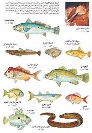 أين تعيش الأسماك الموقع الرسمى للهيئة العامة لتنمية الثروة السمكية