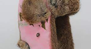 How To Clean Rabbit Fur Hat