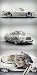 pin on carros de carrera