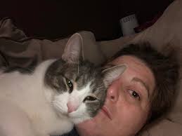 Missing neutered male cat with extra toes