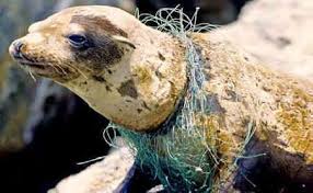 The Ocean Is In Dire Need Of Attention The Clock Is Ticking Environmental Articles Plastic In The Sea Plastic Pollution Ocean Pollution