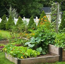 Different plants need different amount of water, so make sure you know how much water your vegetables need. Why You Should Always Plant Flowers In Your Vegetable Patch