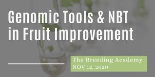 If the depth exceeds this restriction during serialization, deserialization or string conversion, a this usually happens when a circular reference exists in the nbt structure. 12 11 2020 Application Of Genomic Tools And Nbt In The Fruit Improvement Sector The Ciopora Academy