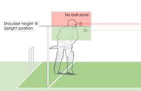 What is a no-ball? Every type explained