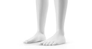 3d Model Gender Neutral Rigged Human Https Static Turbosquid Com Preview 001272 074 7s D Jpg 3d Model Model Neutral