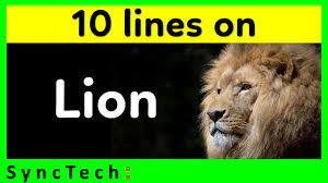 Camels can live up to approximately fifty years. 10 Lines On Lion In English Few Lines About Lion In English Youtube