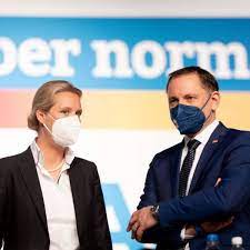 Chrupalla artists führt regelmäßig informative vorsingen in freiburg i. Weidel Und Chrupalla Wollen Afd Spitzenteam Werden Politik