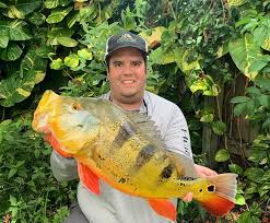 We did not find results for: Home Page Catch Florida Peacock Bass