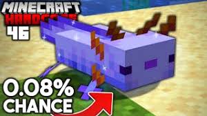 How to get the rare blue axolotl. I Found The Rarest Axolotl In Minecraft Hardcore 46 Youtube
