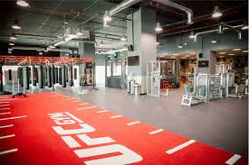 Go in depth on the fight that wasn't: All You Need To Know About Ufc Gym Dubai B Change