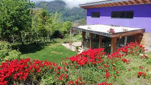 Maybe you would like to learn more about one of these? Vivienda Ecologica En Bakio Bizkaia Ecohabitar