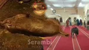 Check spelling or type a new query. Video Usai Lukai Seorang Jamaah Babi Hutan Yang Masuk Ke Dalam Masjid Ditembak Mati Serambi Indonesia