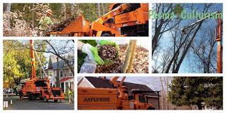 Signs of termites include piles of sawdust near wooden doors and window frames and in basements and attics. Asplundh Free Wood Chips Worth It For You