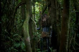 La madremonte, llamada también la madreselva, es un personaje legendario del folclor colombiano, presente en diversas regiones como antioquia, andes centrales y occidentales de colombia, y los valles del magdalena y el cauca. Madremonte De Jorge Navas Colombia Lado B Erlin