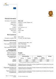 Living in north america, it is very easy to get used to the idea of using almost the same type of resume, or curriculum vitae (cv) as it is typically referred to in. Cv Template Europe Cv Template Resume Design Template Cv Template Download