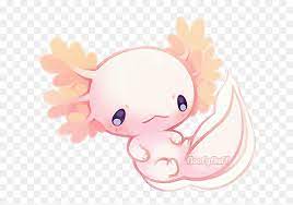 Learn how to draw an axolotl! Axolotl Drawing Easy Multimedia The Eastern Echo