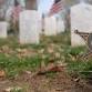 America 250: Ohio Revolutionary War Veterans event image