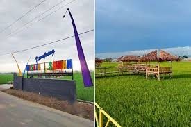 Dengan hanya perjalanan selama 1 setengah jam, anda sudah boleh menikmati pemandangan sawah padi yang terbentang hijau dan langit yang membiru. 8 Gambar Kampung Wisata Sawah Lokasi Adem Tiketnya Pun Murah Pariwisata Sumut