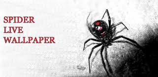 We've gathered more than 5 million images uploaded by our users and sorted them by the most popular ones. Download Spider Live Wallpaper Free For Android Spider Live Wallpaper Apk Download Steprimo Com