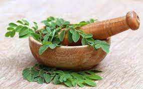 Maybe you would like to learn more about one of these? 8 Manfaat Daun Kelor Untuk Diabetes Cara Menggunakannya