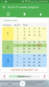 Trimester Chart Confusion Babycenter
