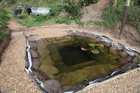 Schwimmteich Selber Bauen 13 Marchenhafte Gestaltungsideen Garten Pooldesign Zenideen In 2020 Schwimmteich Selber Bauen Schwimmteich Naturschwimmbecken