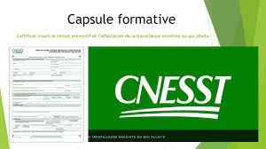La cnesst est l'organisme, confié par le gouvernement, qui a le mandat déposer une réclamation cnesst ou faire une demande de révision de la décision rendue peut être une tâche effrayante pour. Cnesst Demande De Conge De Maternite Youtube