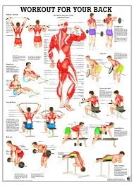 Back Workout Poster