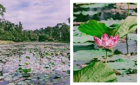 5 Of The Best Agro Tourism Destinations In Selangor Zafigo