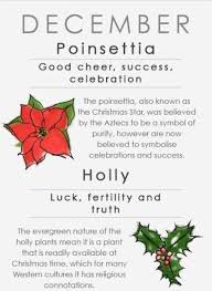 December Birth Flower December Birth Flower Birth Flowers Birth Flower Tattoos