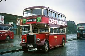 Pin On Bus
