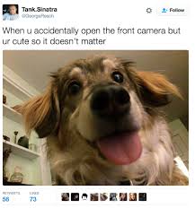 On Technology Funny Animal Pictures Funny Animals Funny Dog Memes