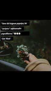 Can Yucel Papatya Sozleri Resimli Alintilar Ozlu Sozler Hoslanma Sozleri