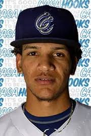 Willy Collado minor league baseball statistics