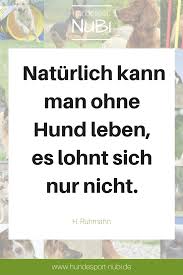 Der hund bleibt dir im sturme treu, der mensch nicht mal im winde. 660 Zitate Spruche Rund Um Den Hund Ideen In 2021 Hunde Hundespruche Lustige Haustiere