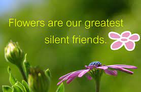 More Gardening Quotes Garden Quotes Garden Quotes Signs Flower Quotes