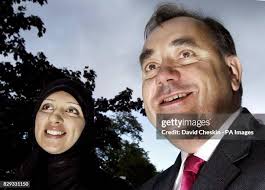 365 Bushra Stock Photos, High-Res Pictures, and Images