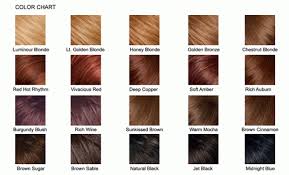 Brown Hair Color Chart 2013 Hairstyles Haircuts Color