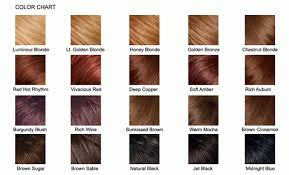 brown hair color chart 2013 hairstyles haircuts color