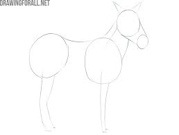 How to draw a zebra face for kids printable step by step drawing #4783626. How To Draw A Zebra Easy