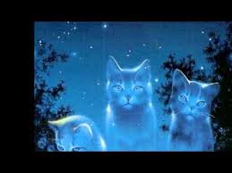 Click to see full answer. Hey Guys This Is My Fanmade Trailer For Warriors Warrior Cats Cats Warrior Cat