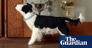 While they didn't have exactly what i needed, we found a workable substitute. Best In Show Knit Your Own Dog Life And Style The Guardian
