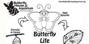 Read full profile sometimes the past can feel incredibly distant, like stories that people tell rather than lives that were actually lived. Coloring Pages Butterfly House Aquarium